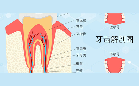诊疗科普南京哪家牙齿矫正比较好的医院_牙齿深覆合必须要矫正吗
